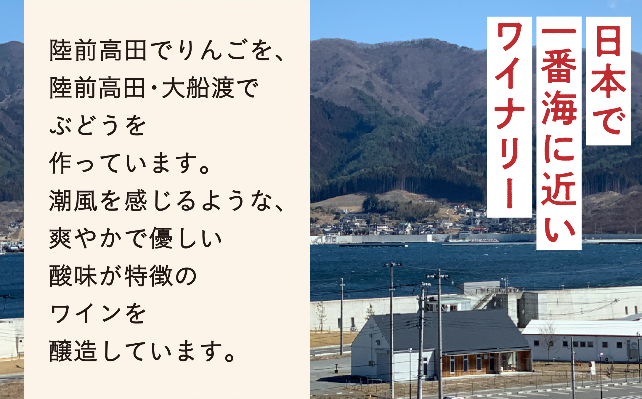 【大人の贅沢りんごジュース】 りんご屋まち子のアップルジュース 720ml 選べる内容量 1本 〜 12本 〈 G7 広島サミット おもてなし商品 〉RT1585